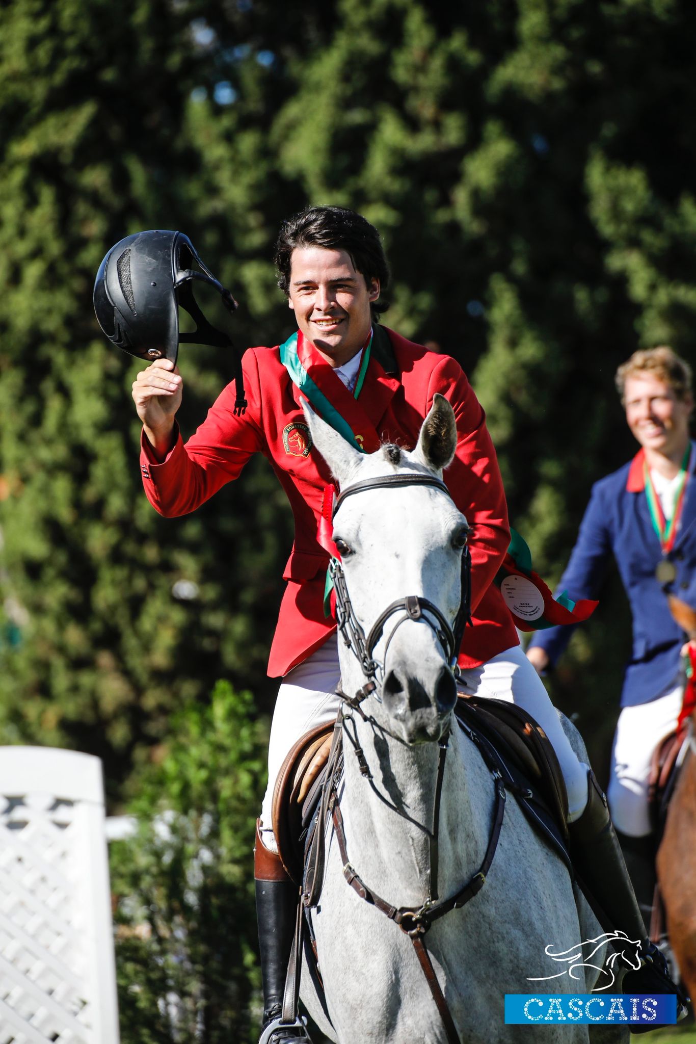 Horseback Riding: How to Choose the Perfect Horse for Your Ride