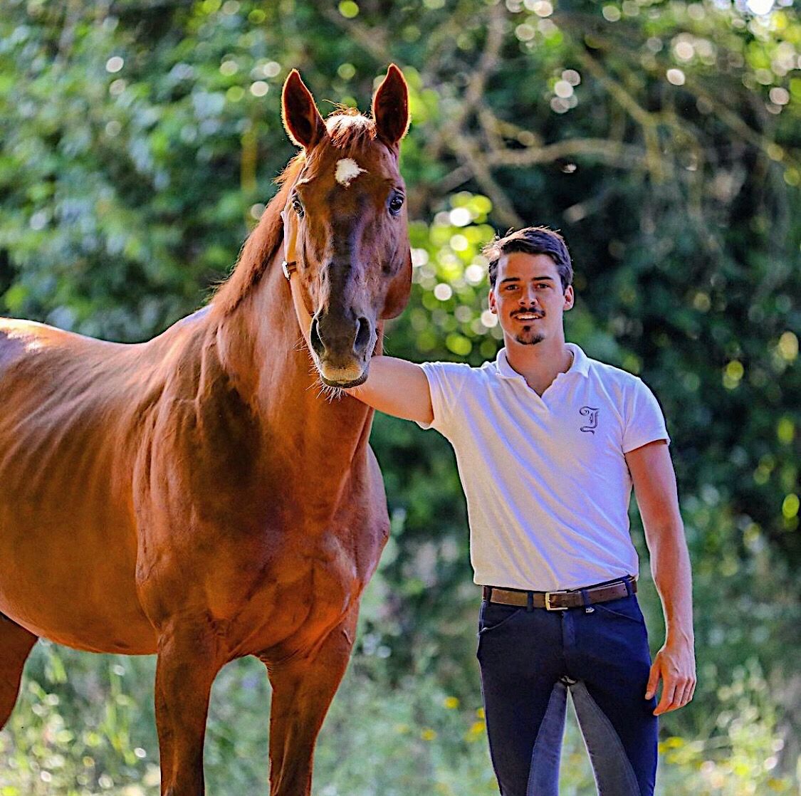 Horseback Riding: How to Choose the Perfect Horse for Your Ride
