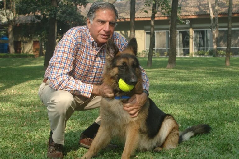 Indian tycoon left more than $100 million as a legacy to his dog