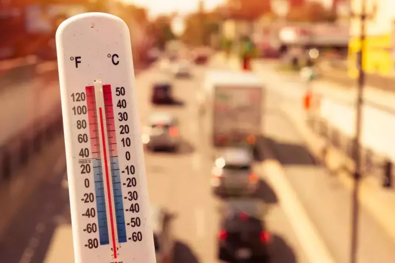The climate crisis caused additional months of extreme heat in 2024