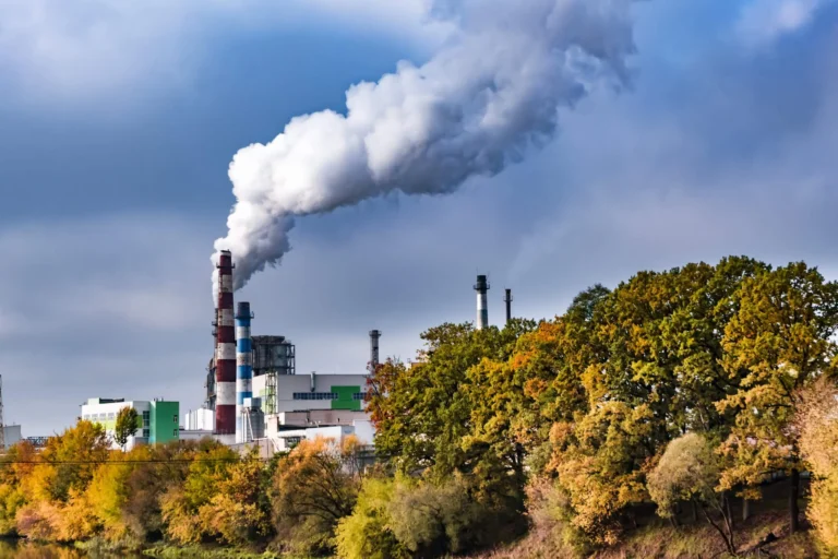 Only seven countries met WHO air quality standards in 2024