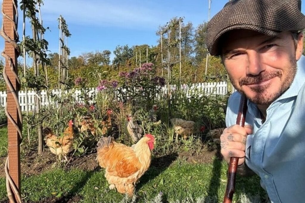 David Beckham to become guest editor of rural life magazine