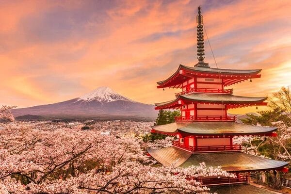 Japanese city of Fujiyoshida cancels cherry blossom festival due to tourist crowds Japanese city of Fujiyoshida cancels cherry blossom festival due to tourist crowds