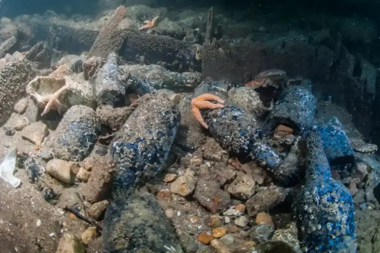 Divers recover Guinness bottle from sea after 162 years